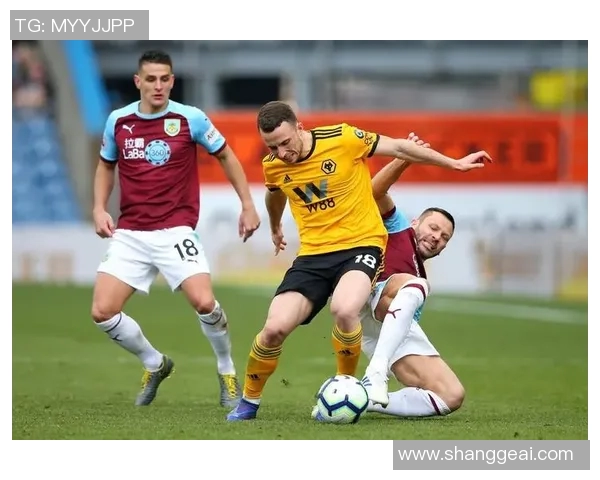 伯恩利与狼队的精彩对决分析及赛后点评全景回顾