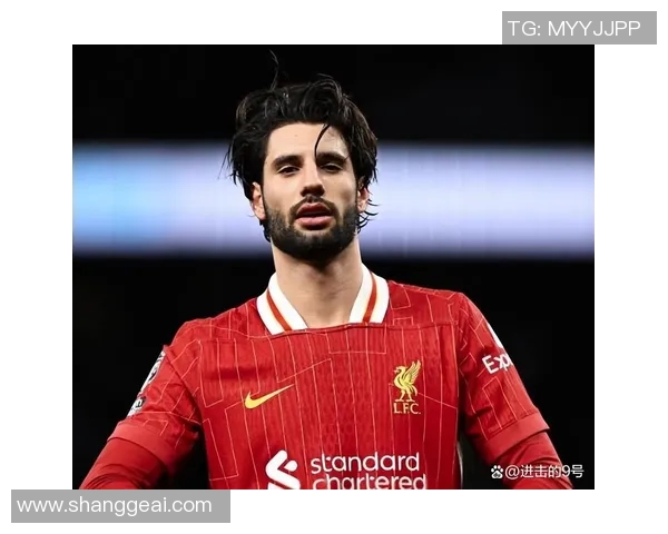 索博斯洛伊的魅力探秘与历史文化深度解析之旅