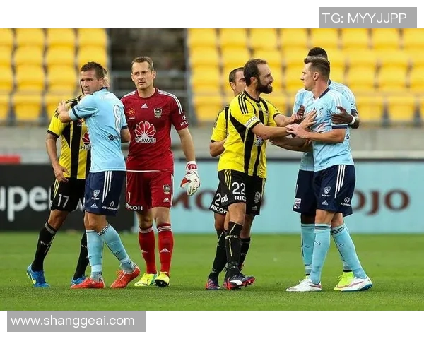 纽喷飞机与惠灵顿凤凰的精彩对决分析与赛季展望 纽喷飞机与惠灵顿凤凰的精彩对决分析与赛季展望