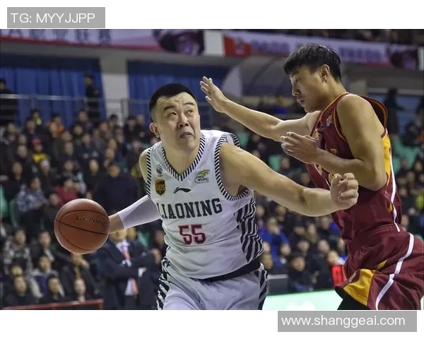 韩德君：从篮球新星到中国男篮核心的成长之路与辉煌成就分析