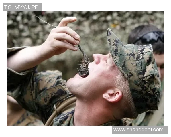 黑蝎子与泰国通用装备的较量:谁能在战场上胜出并主宰未来战局 黑蝎子与泰国通用装备的较量:谁能在战场上胜出并主宰未来战局