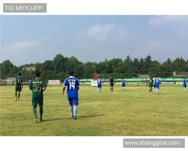 大连超越对战火山鸣泉精彩赛事回顾与分析展望