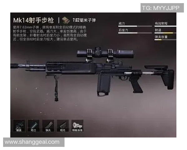 和平精英纪实：见证IG战队从新秀到王者的辉煌成长历程MBA