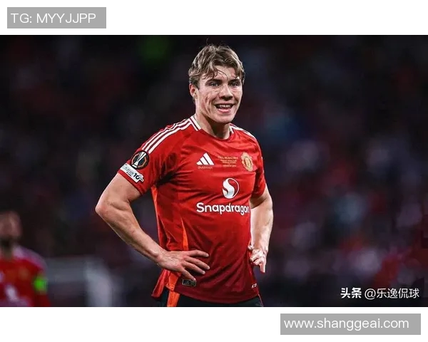 霍伊伦的传奇人生与不凡成就探秘之旅 霍伊伦的传奇人生与不凡成就探秘之旅