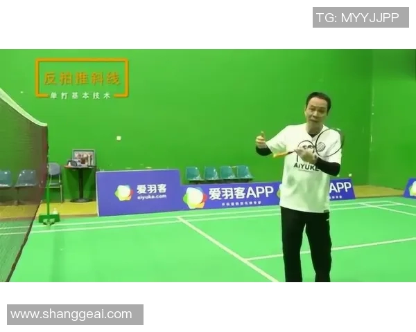 成都羽毛球队防反战术分析及其在比赛中的得失情况探讨MBA