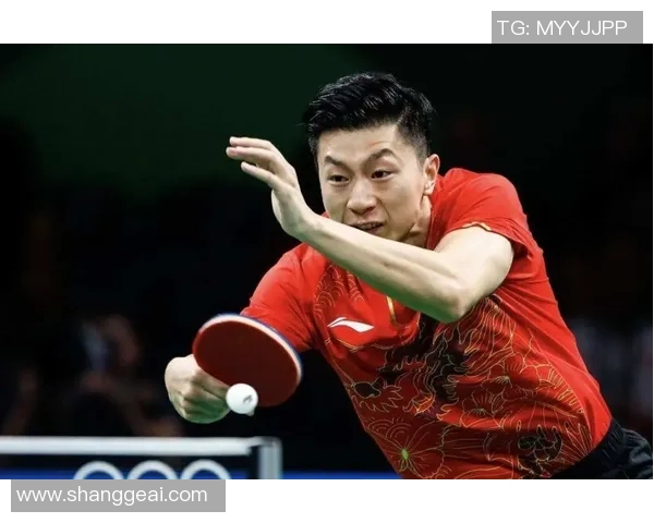 朱俊龙：从青涩少年到国际乒乓球明星的奋斗历程与成就分享