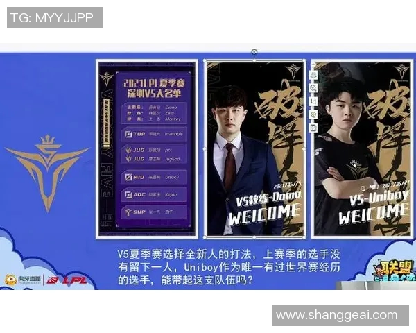 数据分析揭示V5战队实力表现背后的秘密与策略探讨