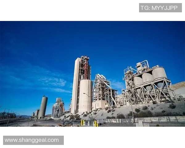 南京篮球队实力飙升创历史新高引发关注与期待