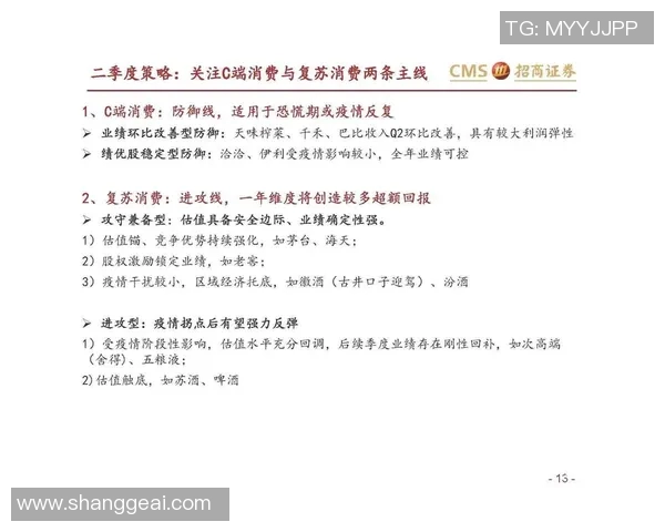 上海网球队的防守策略分析与比赛表现的得失总结