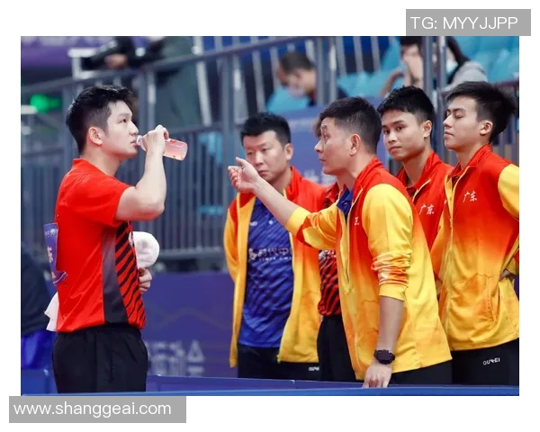 乒乓球战术解析：西安乒乓球队边路渗透的成功秘诀与实践探讨