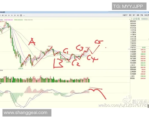 深圳网球队防守策略分析与比赛表现评估探讨