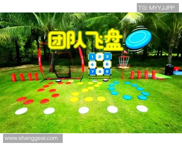 飞盘战术解析：成都飞盘队如何运用边路渗透提升进攻效率